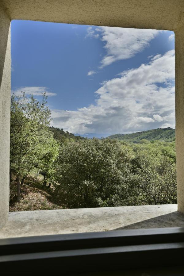 La Maison Des Collines 普罗旺斯地区阿莱马尼 外观 照片